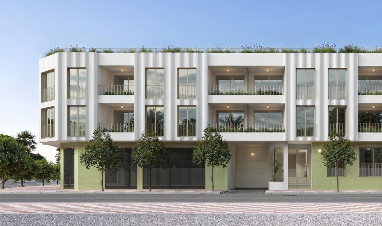 Obra nueva - Apartamento / piso - Jacarilla - pueblo