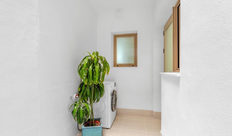 Obra nueva - Apartamento / piso - Jacarilla - pueblo