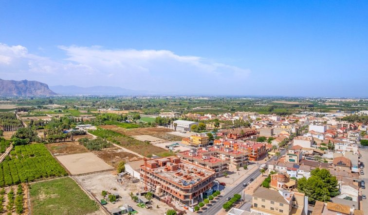 Obra nueva - Apartamento / piso - Jacarilla - pueblo