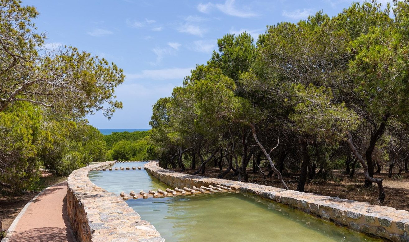 Reventa - Bungalow - Torrevieja - Cañada del Molino