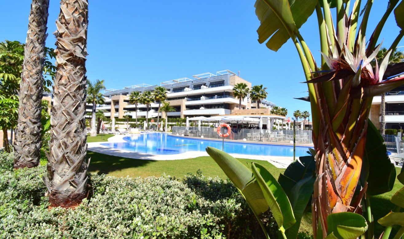 Resale - Apartment / flat - Orihuela Costa - Playa Flamenca