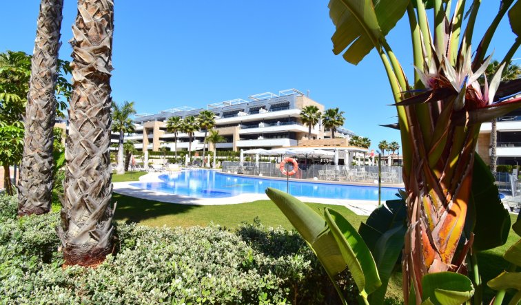 Resale - Apartment / flat - Orihuela Costa - Playa Flamenca
