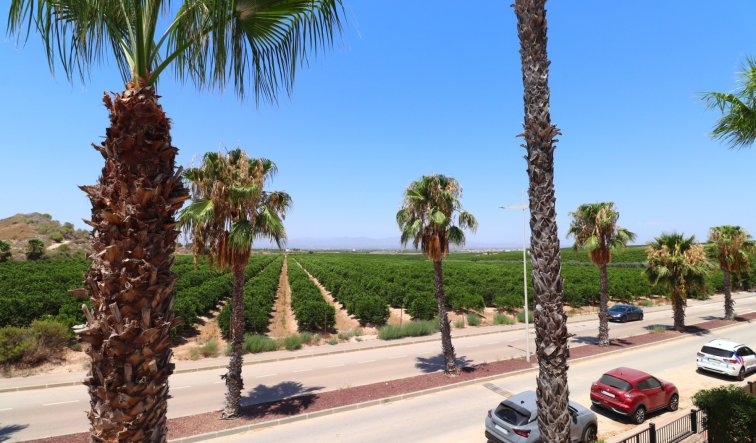 Resale - Semi Detached Villa - Algorfa - La Finca Golf Resort