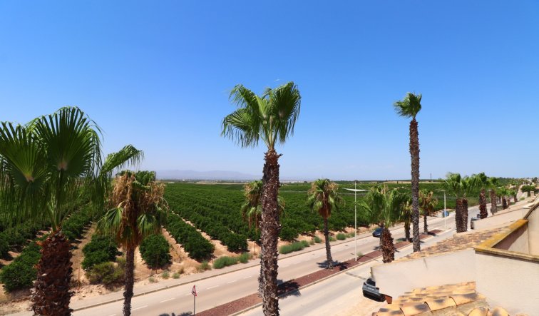 Resale - Semi Detached Villa - Algorfa - La Finca Golf Resort