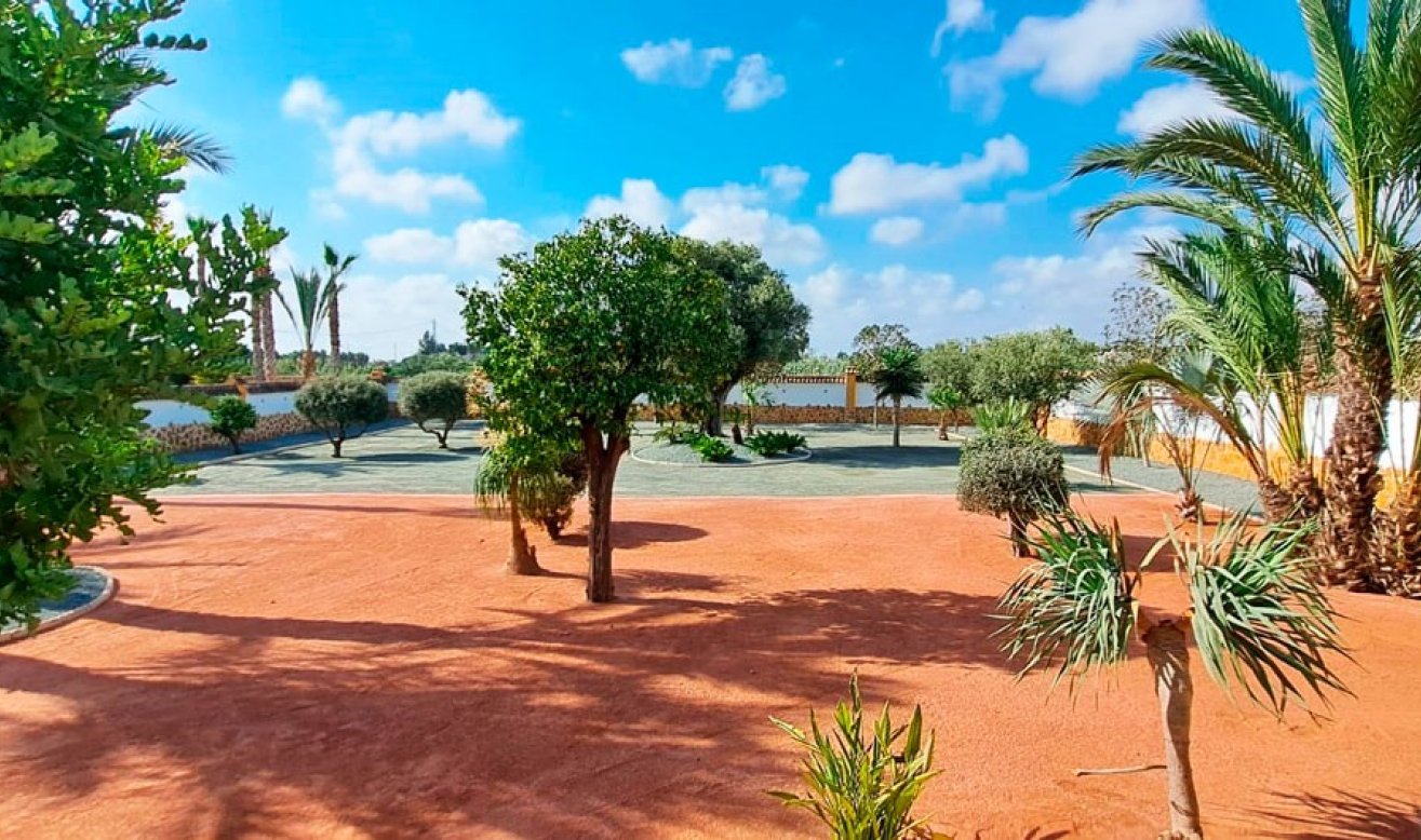 Resale - Country Property - Catral - Catral - Country
