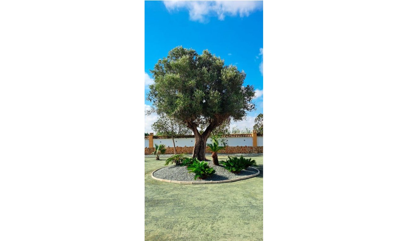 Resale - Country Property - Catral - Catral - Country