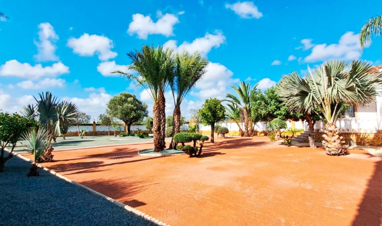 Resale - Country Property - Catral - Catral - Country