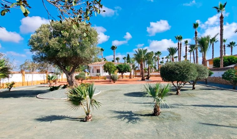 Resale - Country Property - Catral - Catral - Country