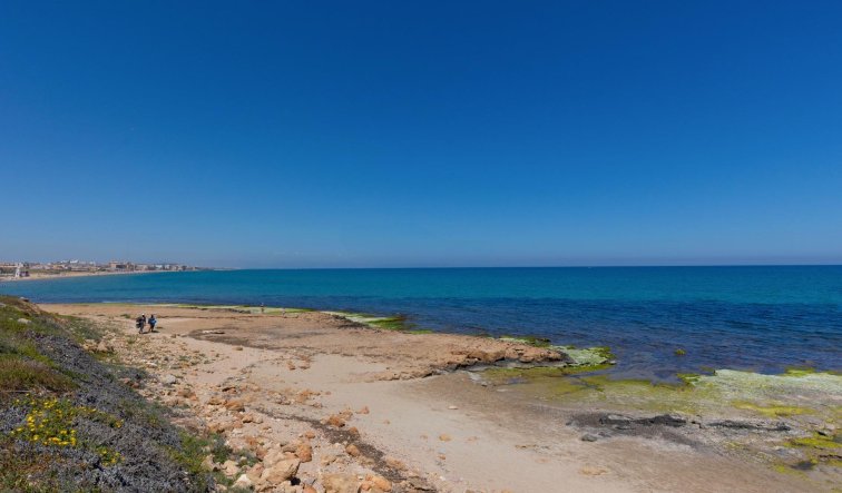 Resale - Apartment / flat - Torrevieja - Cabo cervera