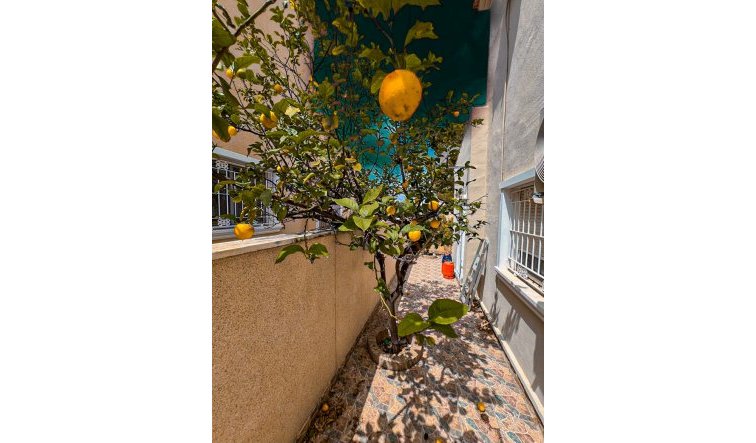 Resale - Villa - Orihuela Costa - Dehesa De Campoamor