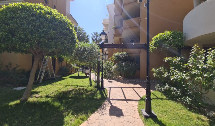 Resale - Penthouse - Torrevieja - Punta prima