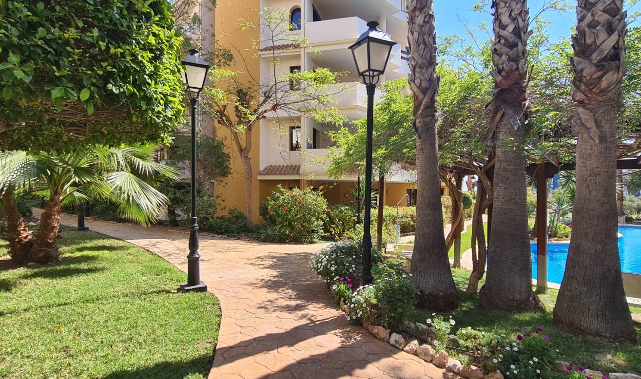 Resale - Penthouse - Torrevieja - Punta prima