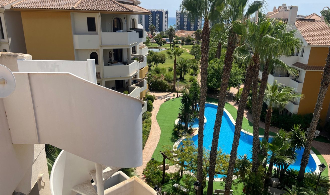Resale - Penthouse - Torrevieja - Punta prima