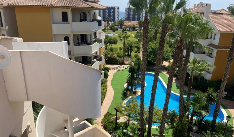 Resale - Penthouse - Torrevieja - Punta prima