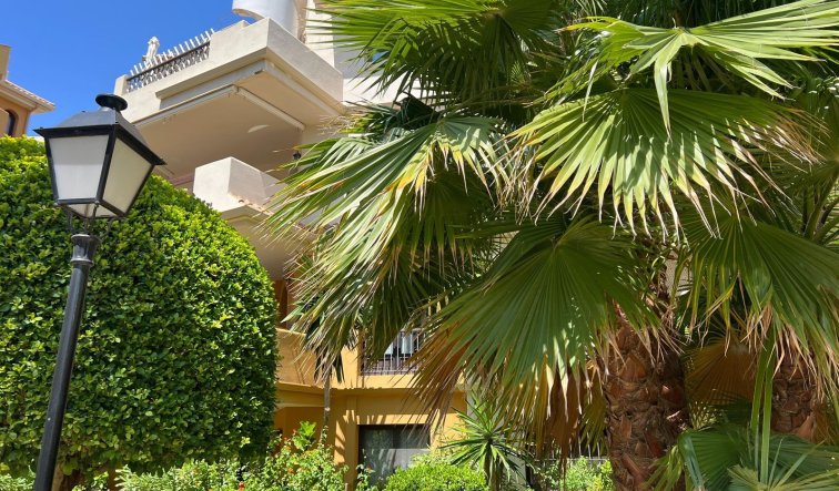 Resale - Penthouse - Torrevieja - Punta prima