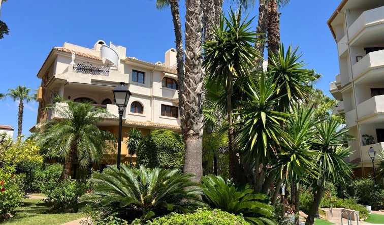 Resale - Penthouse - Torrevieja - Punta prima