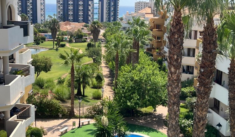 Resale - Penthouse - Torrevieja - Punta prima