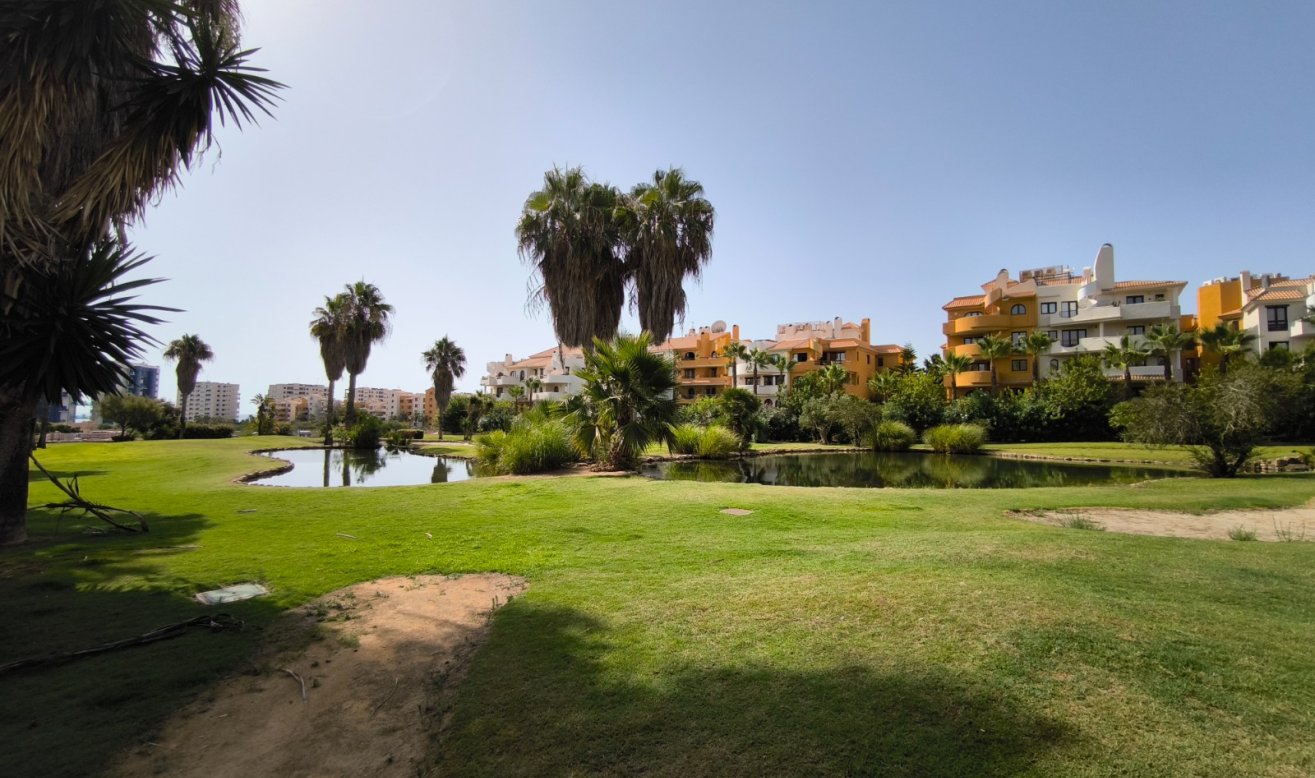 Resale - Penthouse - Torrevieja - Punta prima