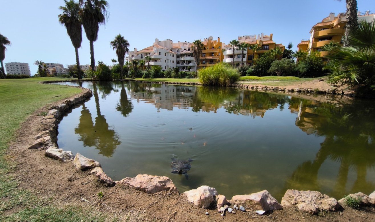 Resale - Penthouse - Torrevieja - Punta prima