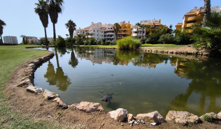 Resale - Penthouse - Torrevieja - Punta prima