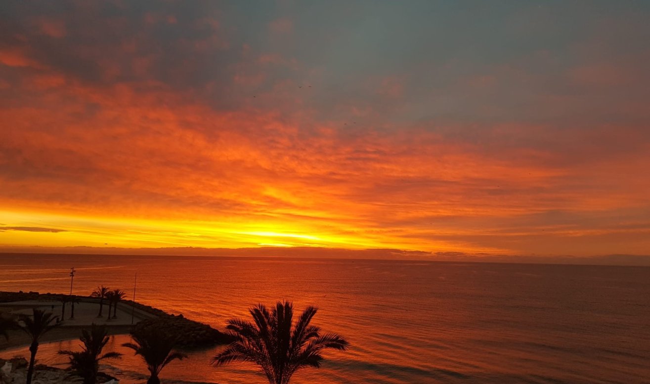 Resale - Apartment / flat - Torrevieja - Playa del Cura