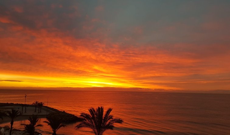 Resale - Apartment / flat - Torrevieja - Playa del Cura