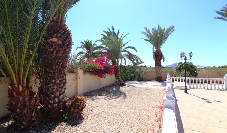 Resale - Country Property - Catral - Catral - Country