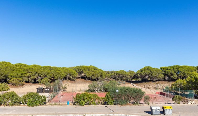 Resale - Apartment / flat - Guardamar del Segura - Urb. pinomar