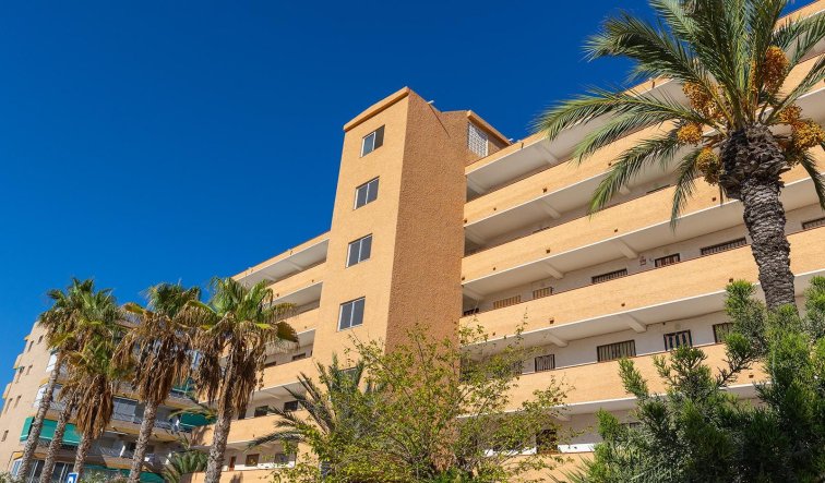 Resale - Apartment / flat - Guardamar del Segura - Urb. pinomar