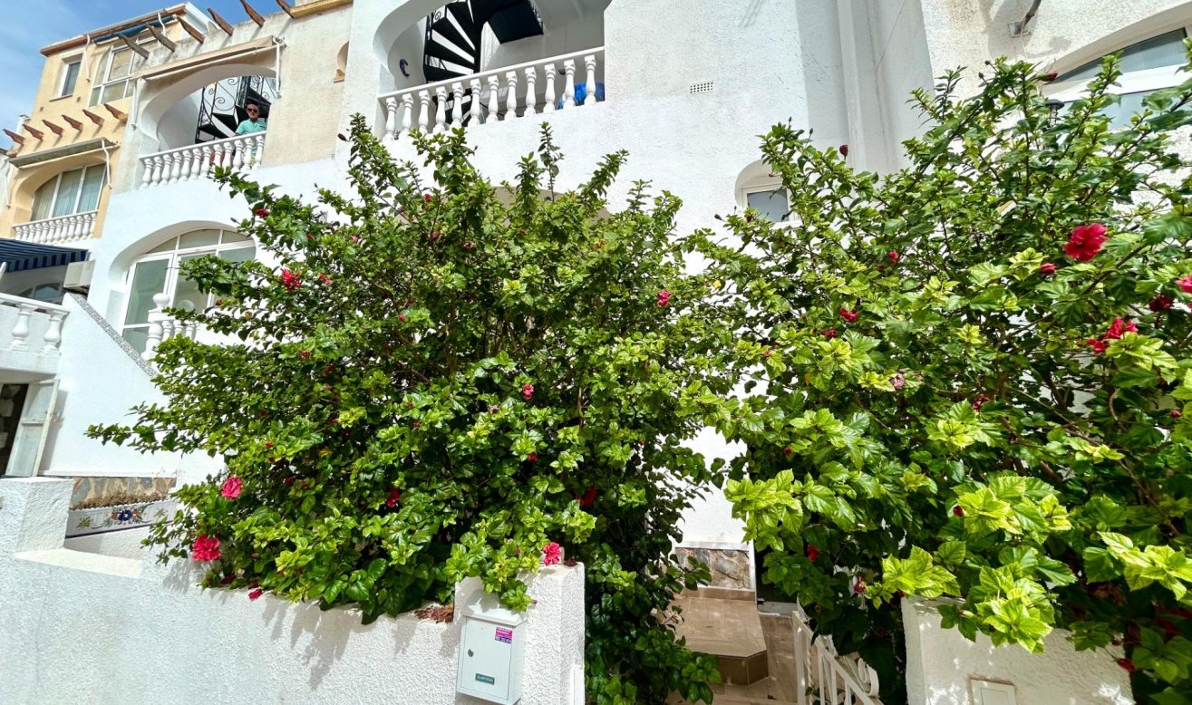 Resale - Apartment / flat - San Miguel de Salinas - Las filipinas