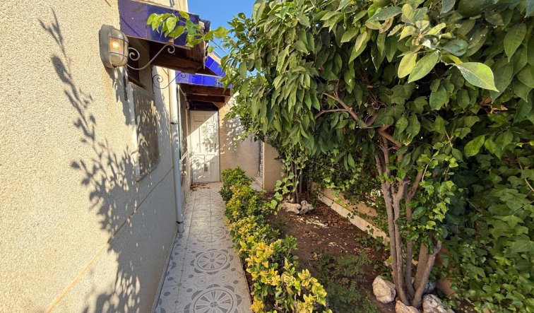 Reventa - Terraced house - Torrevieja - Carrefour