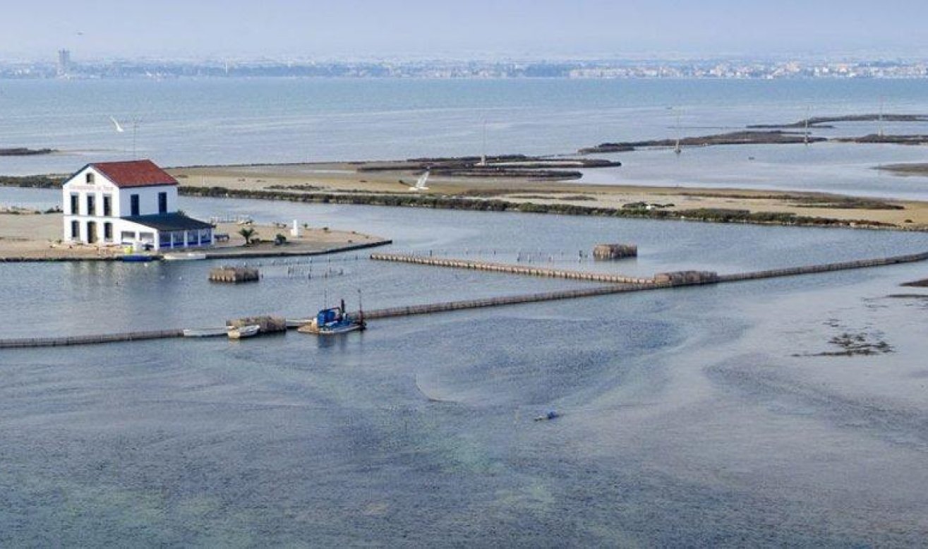 Obra nueva - Villa - San Pedro del Pinatar - Centro