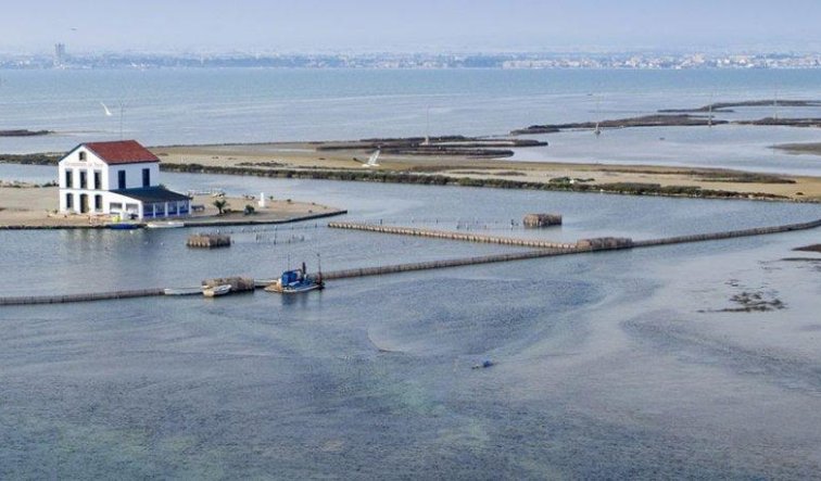 Obra nueva - Villa - San Pedro del Pinatar - Centro