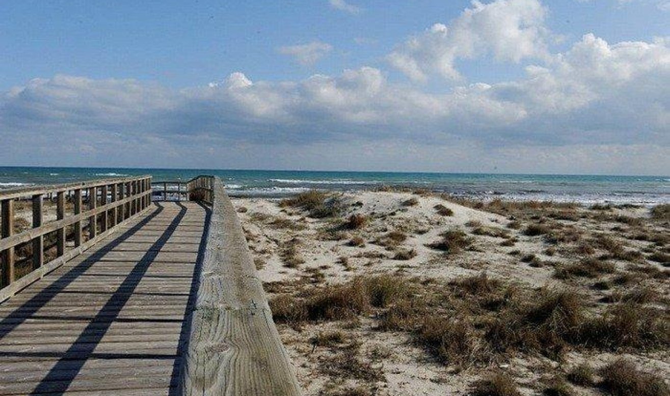 Obra nueva - Villa - San Pedro del Pinatar - Centro