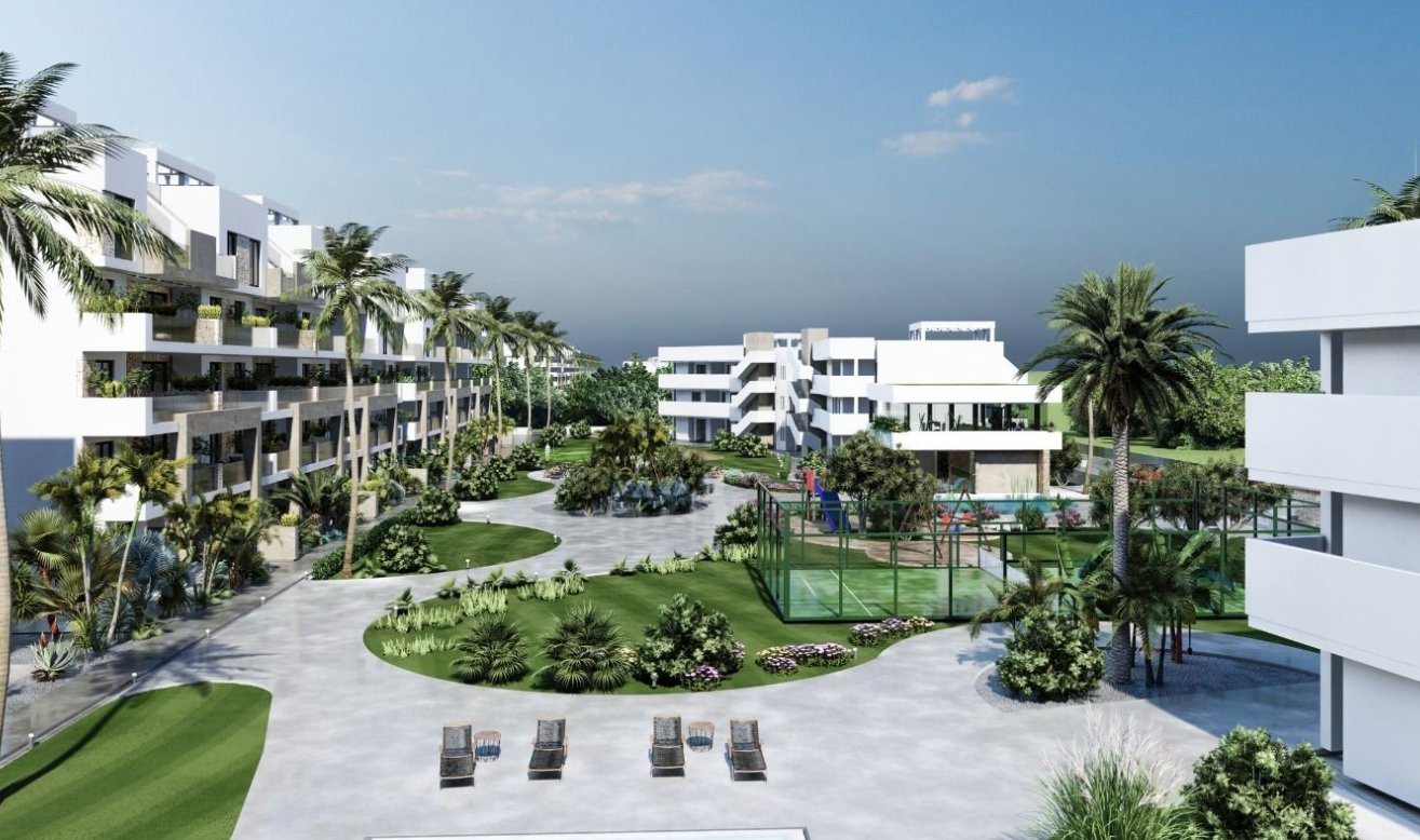 Obra nueva - Ático - Guardamar del Segura - El Raso