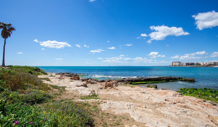 Reventa - Apartamento / piso - Torrevieja - Centro - Muelle Pesquero