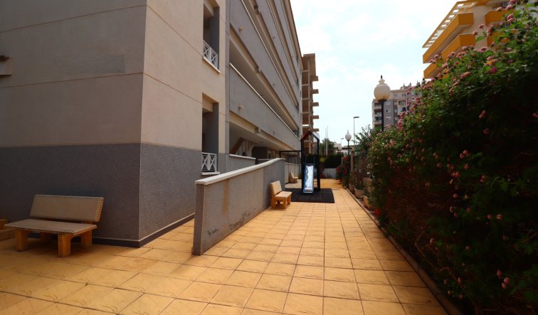 Reventa - Apartamento / piso - Guardamar del Segura - Guardamar del Segura - Town