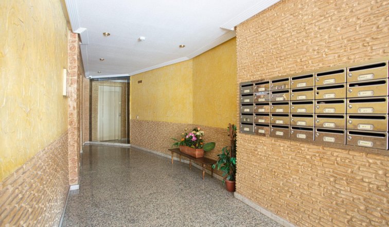 Reventa - Apartamento / piso - Torrevieja - Centro