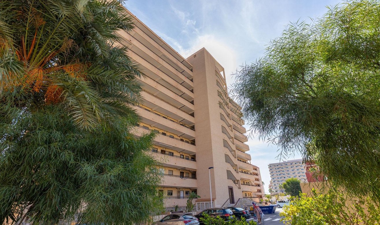 Reventa - Flat - Torrevieja - La Mata