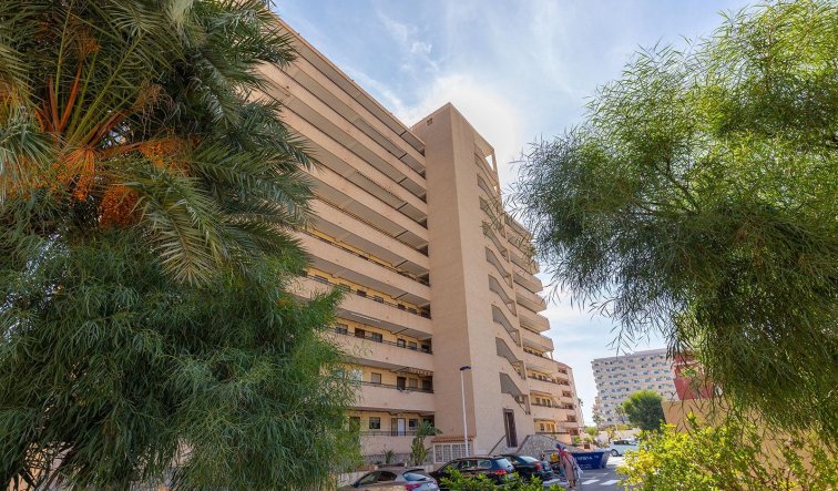 Reventa - Flat - Torrevieja - La Mata