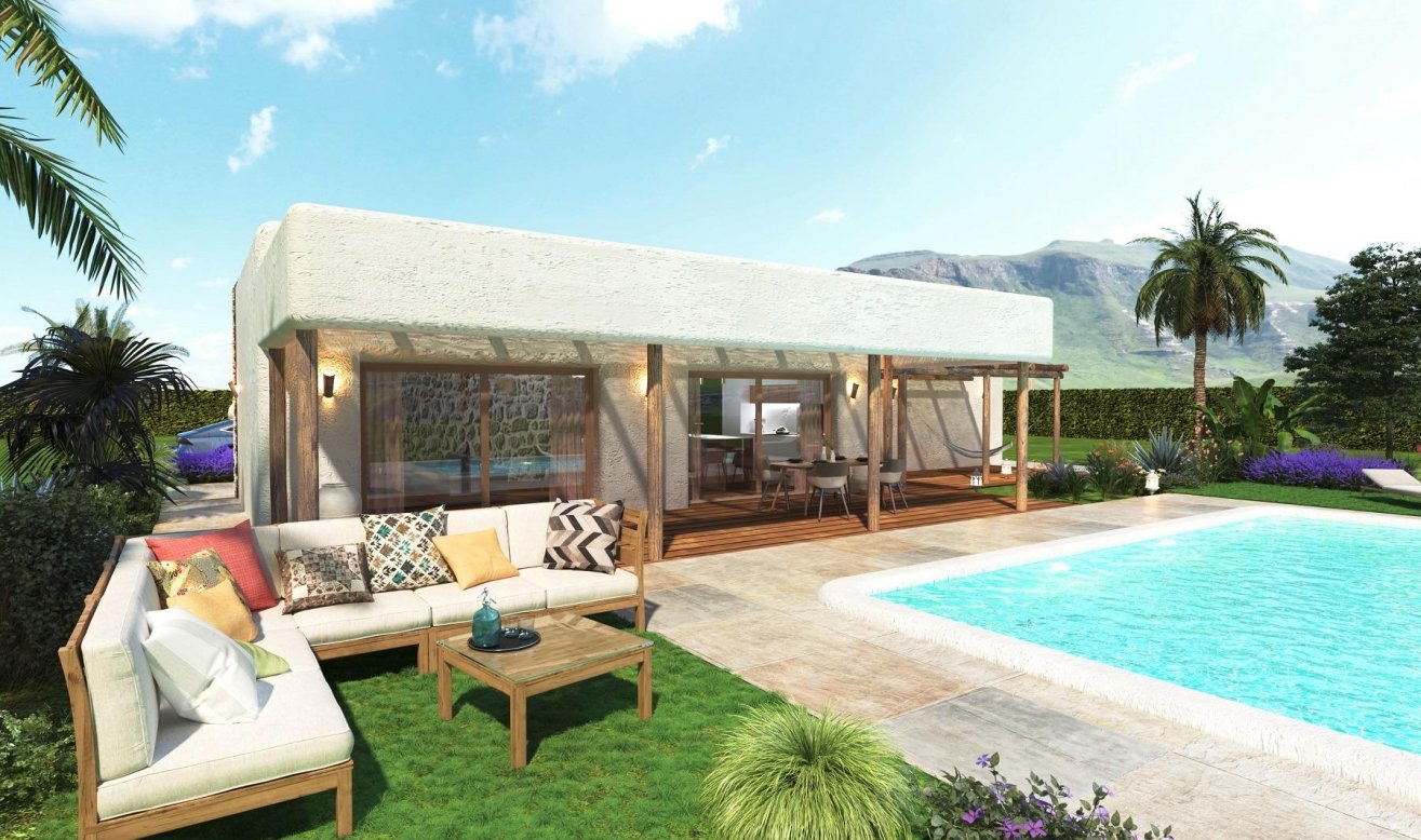 Obra nueva - Villa - Pinoso - Rodriguillo