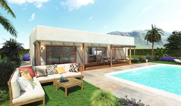 Obra nueva - Villa - Pinoso - Rodriguillo