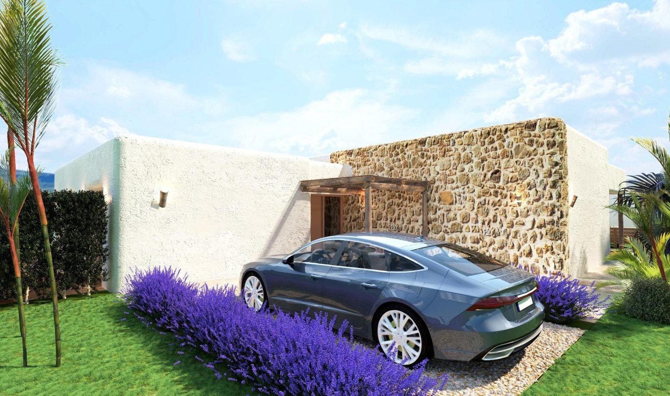 Obra nueva - Villa - Pinoso - Rodriguillo