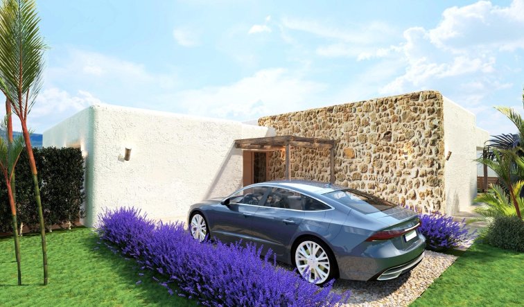 Obra nueva - Villa - Pinoso - Rodriguillo