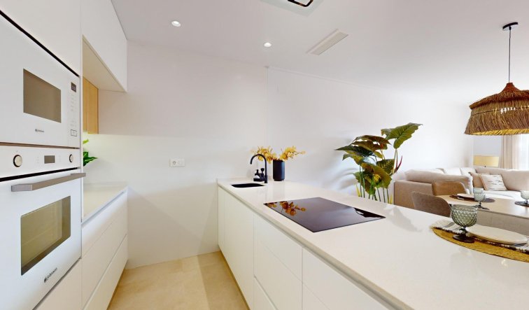 Obra nueva - Ático - Guardamar del Segura - El Raso