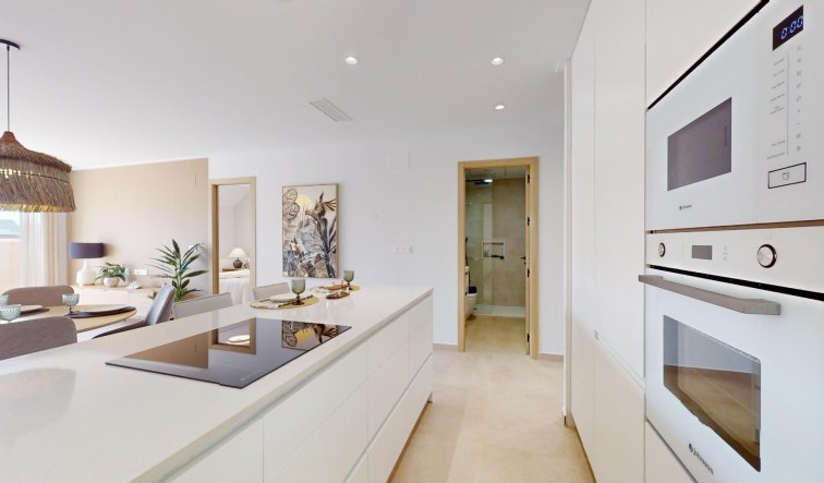 Obra nueva - Ático - Guardamar del Segura - El Raso