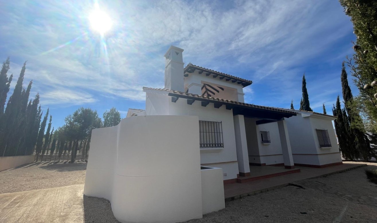 Obra nueva - Villa - Fuente Álamo - Las Palas