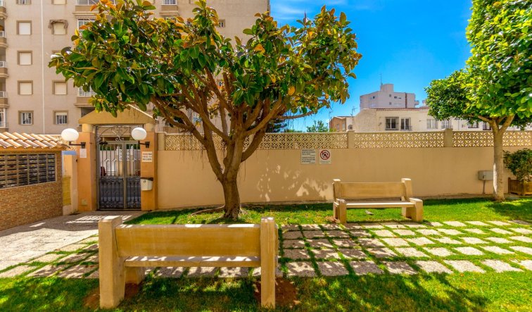 Reventa - Apartamento / piso - Torrevieja - Centro