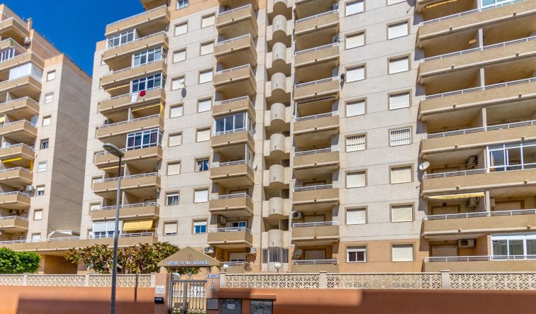 Reventa - Apartamento / piso - Torrevieja - Centro