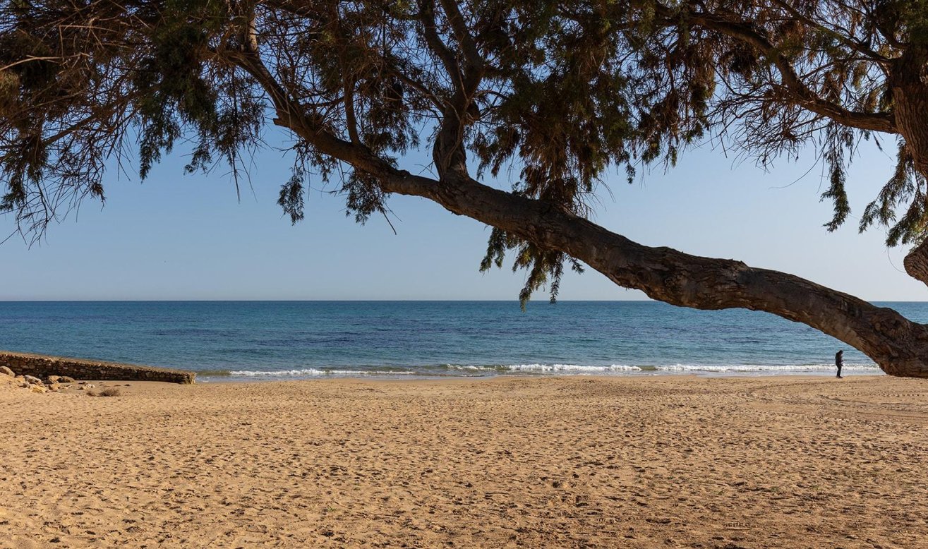 Reventa - Apartamento / piso - Torrevieja - La Mata